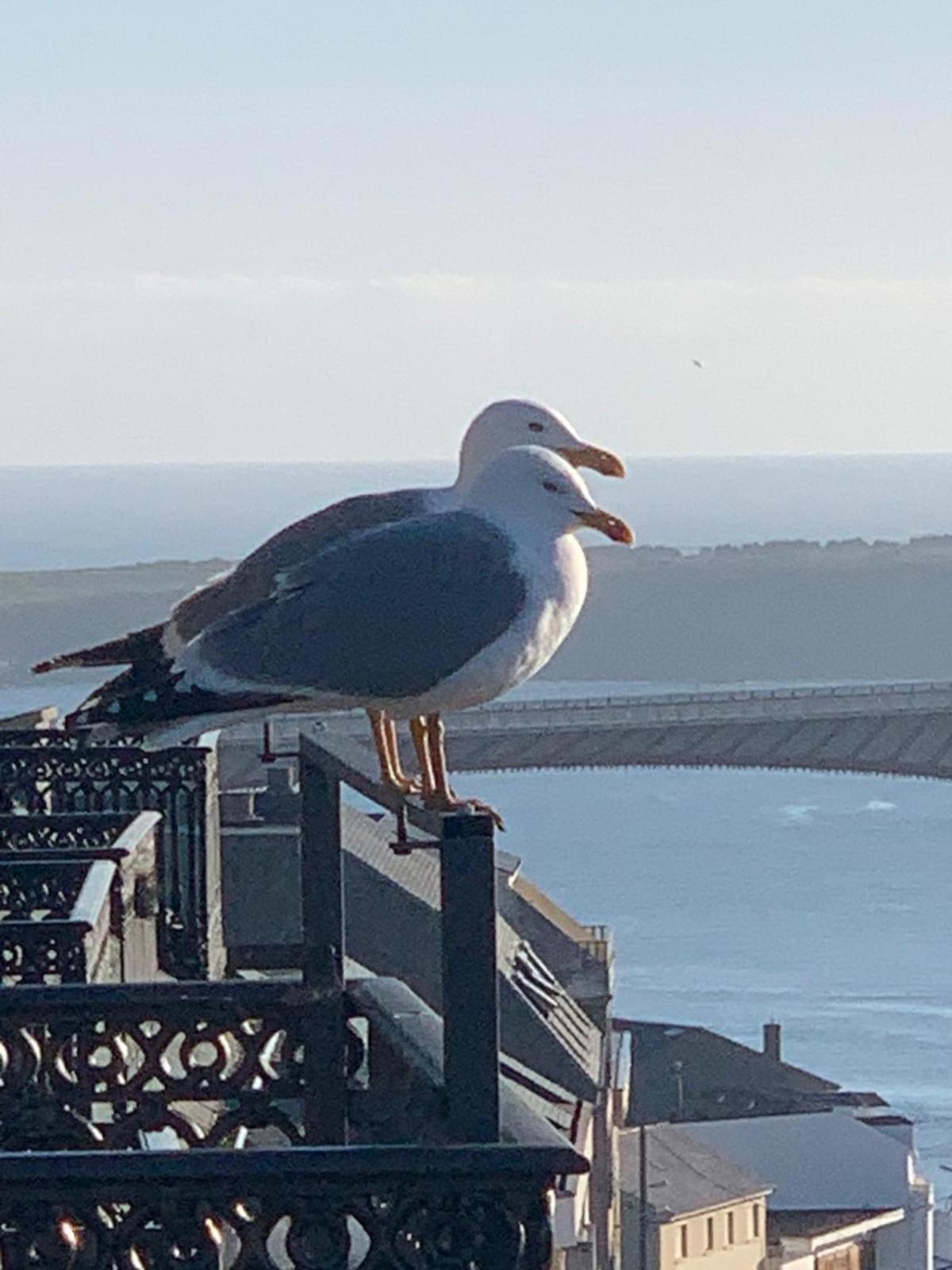 Moderno Piso Con La Mejor Terraza De Ribadeo Y Vistas Maravillosas Exteriér fotografie